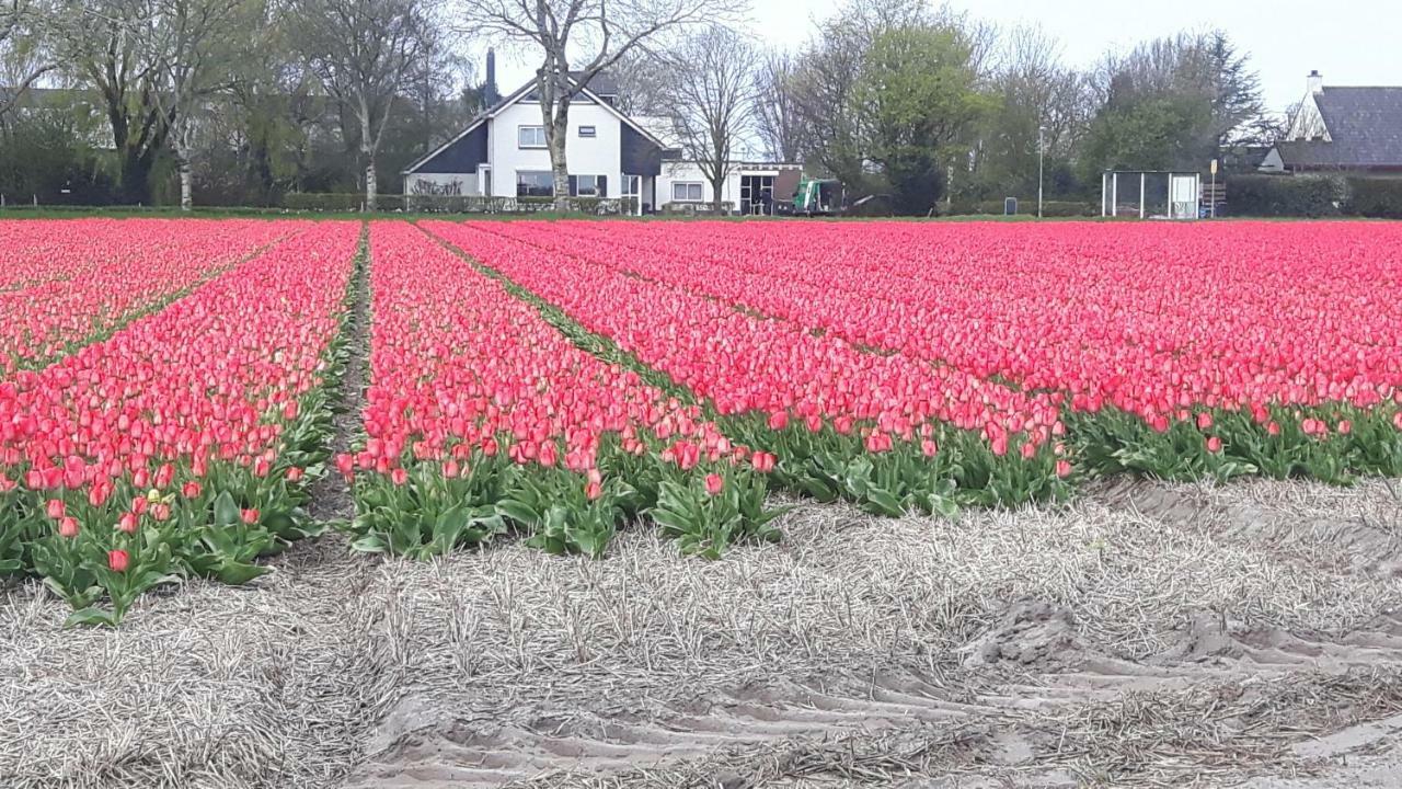 Villa Vrijstaande Blokhut Egmond-Binnen Exterior foto